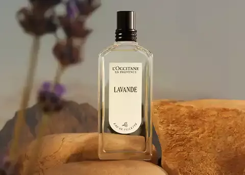 Aromatic lavender, eucalyptus freshness, creamy veil of sandalwood.