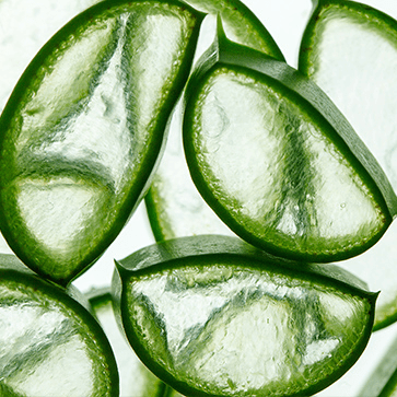 Aloe Vera Extract