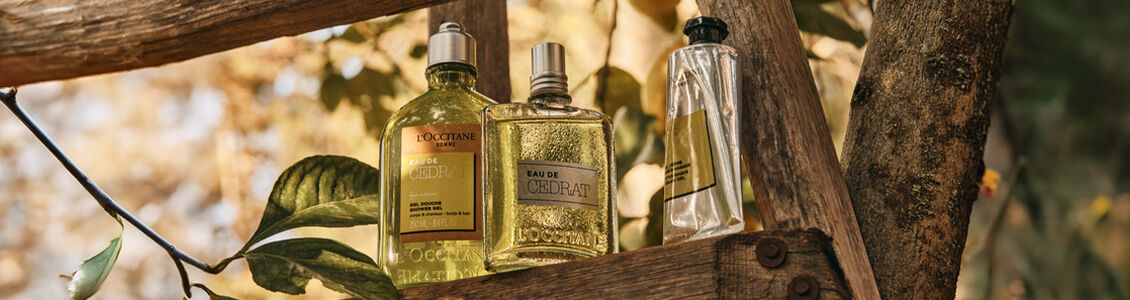 Cedrat Collection | L'OCCITANE Australia