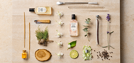 Scent Notes