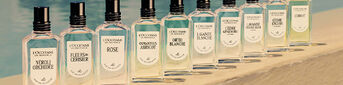 Understanding Fragrances