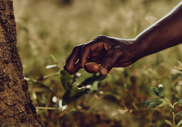 28 traceable supply chains