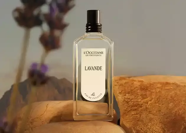 Aromatic lavender, eucalyptus freshness, creamy veil of sandalwood.