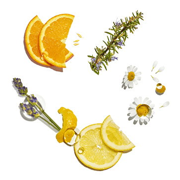 Gentle & Balance Cocktail