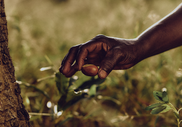 28 traceable supply chains