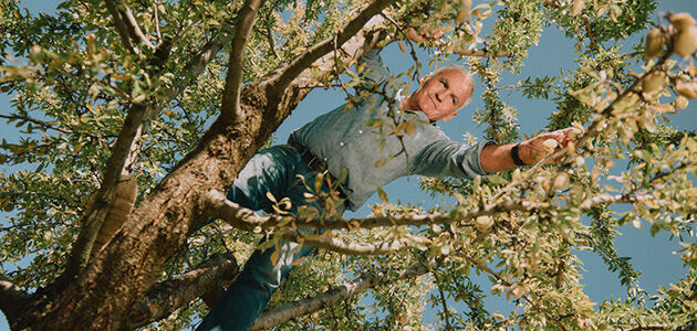 Bringing Almond Trees Back to Provence