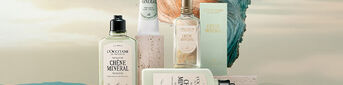 Discover Ch&ecirc;ne Min&eacute;ral, a fresh and woody fragrance inspired by the wild landscapes of Haute-Provence. Fig facets blend with majestic oak wood and natural ambrette musk, while mineral notes evoke the freshness of a salty breeze, capturing the rugged beauty of the Proven&ccedil;al countryside.