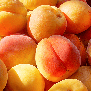 Apricot Oil