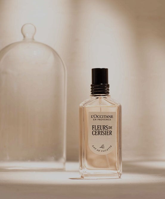 best seller anti hair loss and shampoo