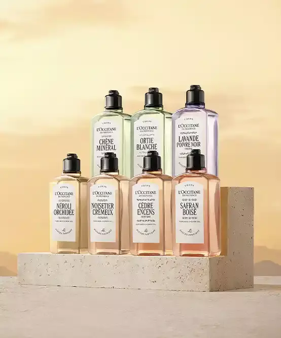 body care shower gels