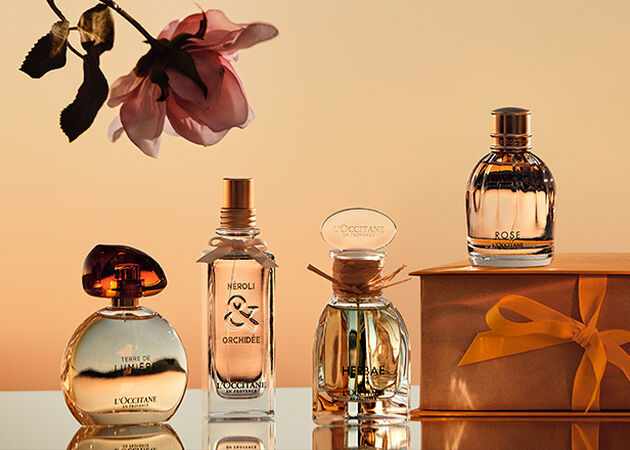 Find Your Signature Scent