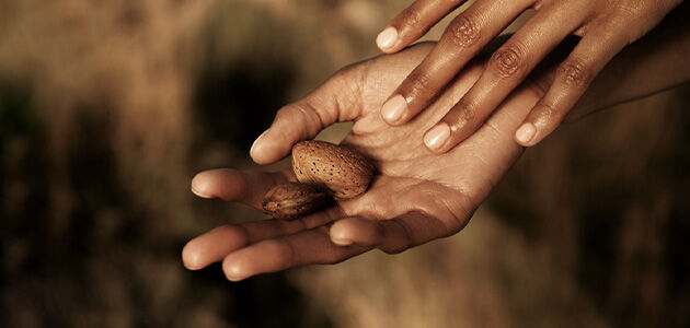 Shop To Respect Biodiversity