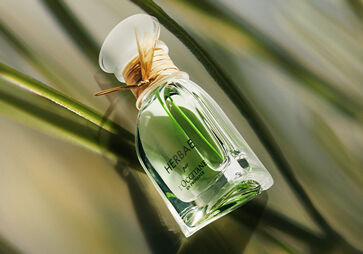 Eau de Parfum