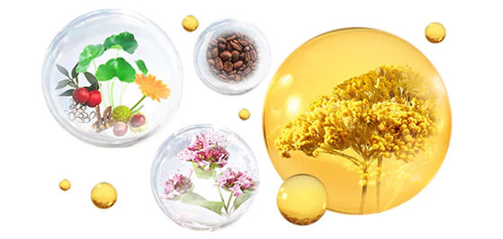 A POWERFUL BOTANICAL COMPLEX