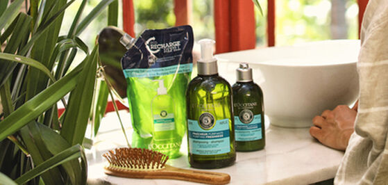 HOW TO REVIVE OILY SCALP