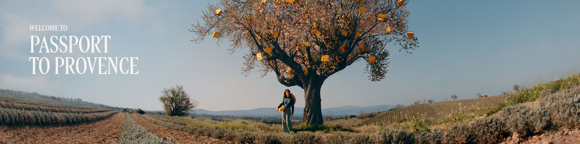 Are You a Member of <i> Passport To Provence? </i>