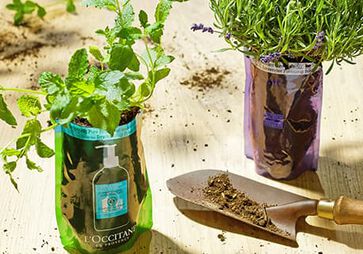 USE AN ECO-REFILL INSTEAD