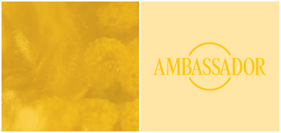 Level 4: Ambassador