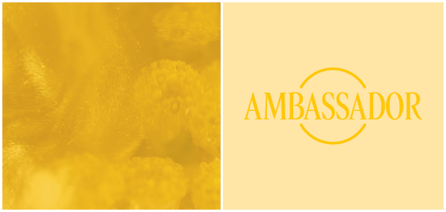 Level 4: Ambassador