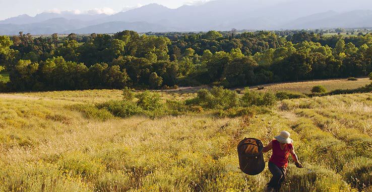 Sustainable Sourcing