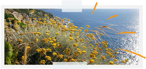 To Protect The Biodiversity Of Our Lands
