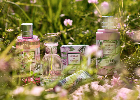 The Art of Fragrance Layering