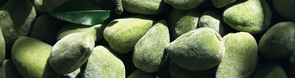 FIRM & REFINE YOUR BODY WITH ALMOND BODY CARE