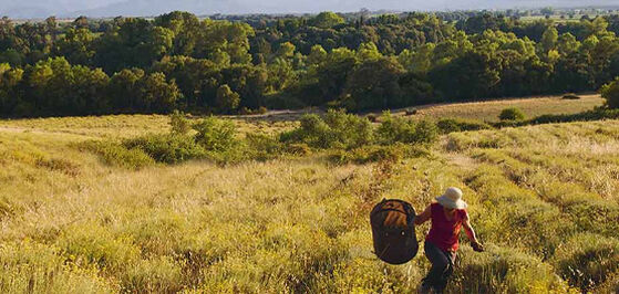 Sustainable Sourcing