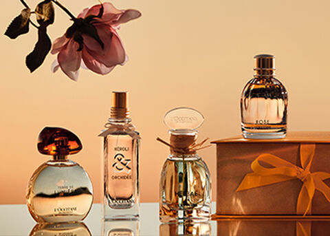 Learn About Fragrance Types & Find Your Perfect Scent