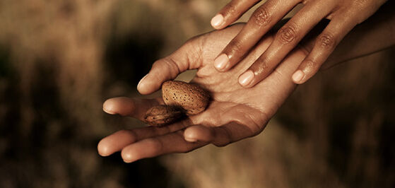 Shop To Respect Biodiversity