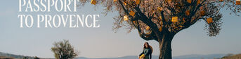 Are You a Member of <i> Passport To Provence? </i>
