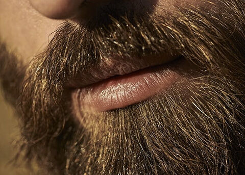 LONG BEARD
