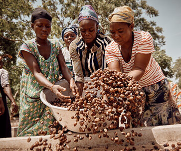 Building Fair Trade Partnerships