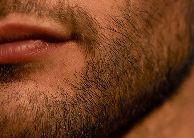 SHORT BEARD