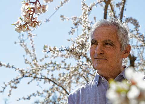 Our Almond Ingredient