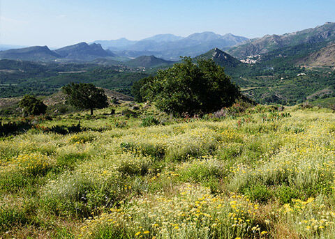 HOW L'OCCITANE WILL MAKE A DIFFERENCE