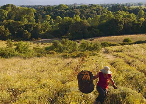 Sustainable Sourcing