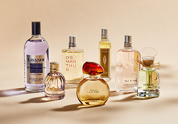 SHOP ALL FRAGRANCES