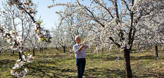 Expanding the Farm with L'Occitane