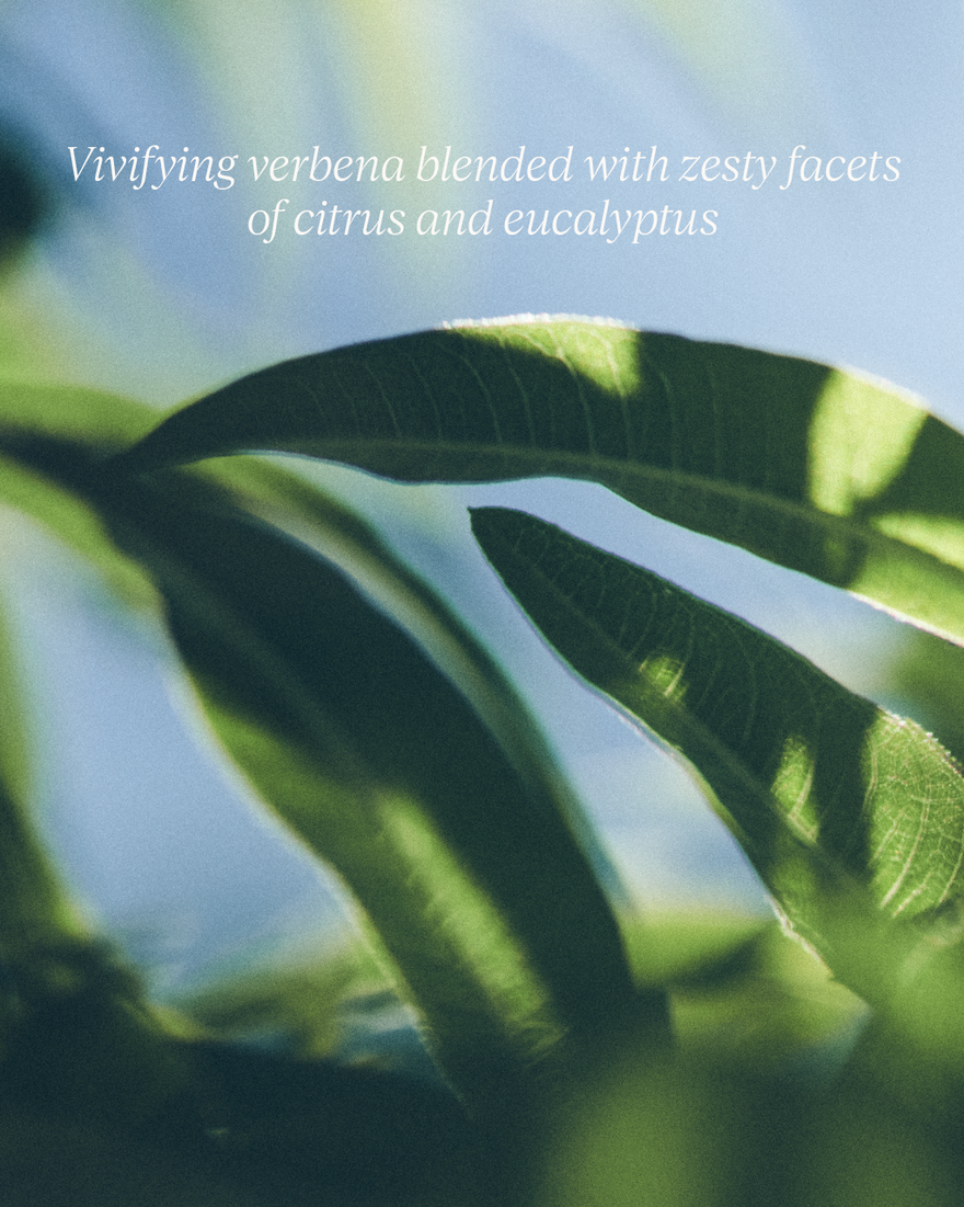view 6/9 of Verbena Extra-Gentle Body Soap, , AURECT