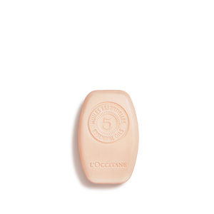 Intense Repair Solid Shampoo, large (2) 60 g | L’OCCITANE Australia
