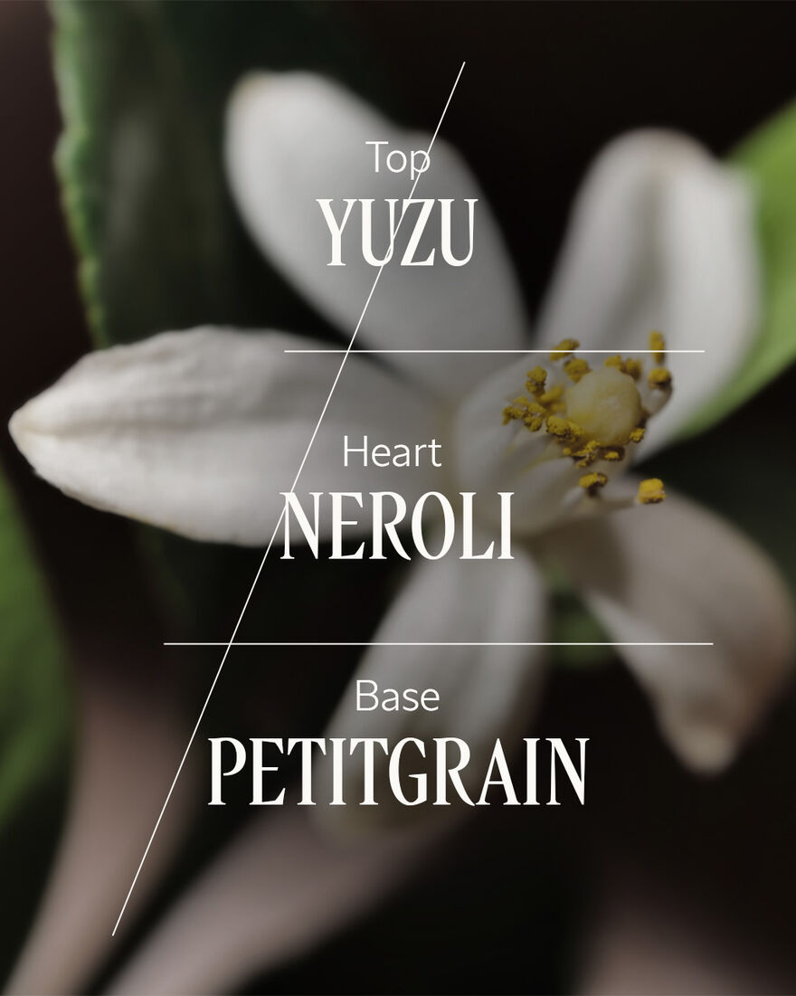 N&eacute;roli Yuzu Home Diffuser Set, AURECT (2) | L&rsquo;OCCITANE Australia