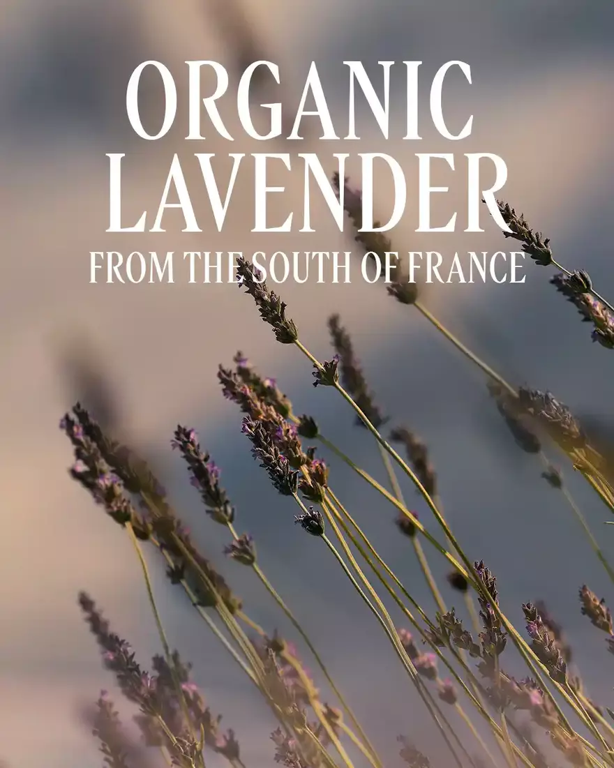 view 4/6 of Lavender Hand Cream, , AURECT
