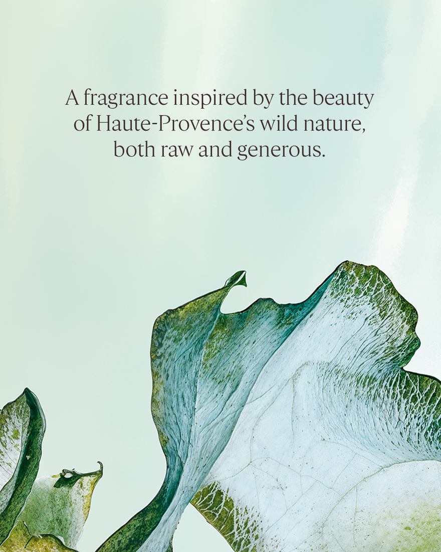 view 5/5 of Ortie Blanche Eau de Parfum, , AURECT