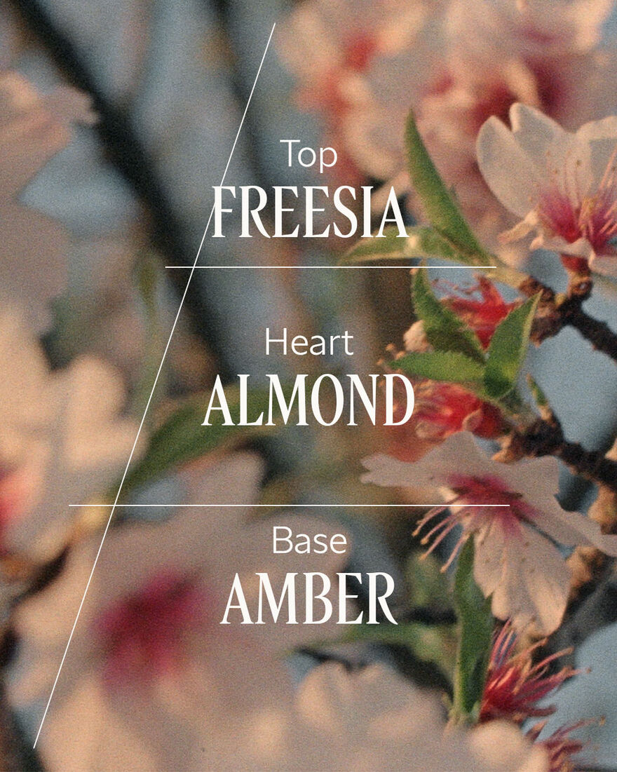 view 2/6 of Classic Almond Kissed Duo, , AURECT