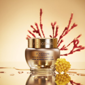 Immortelle Harmonie Cream, AU (2) 50 ml | L’OCCITANE Australia