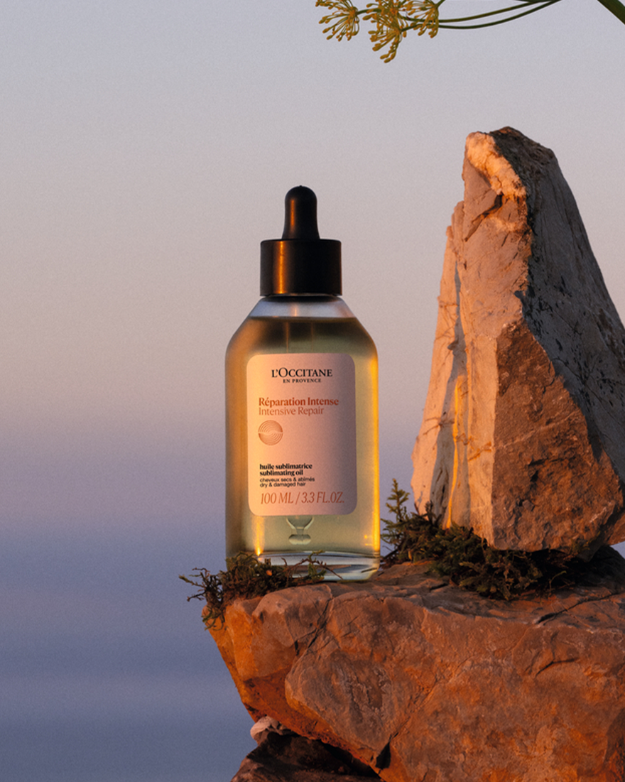 【 L'OCCITANE 】 Réparation Intense 500ml インテンシヴリペア コンディショナートリートメント 500mL