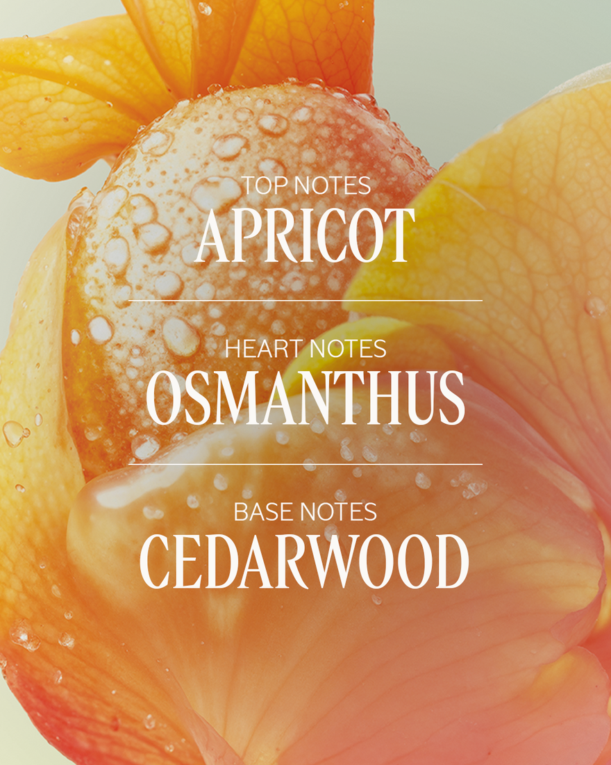 Osmanthus Abricot Eau de Toilette, AURECT (2) 50 ml | L&rsquo;OCCITANE Australia