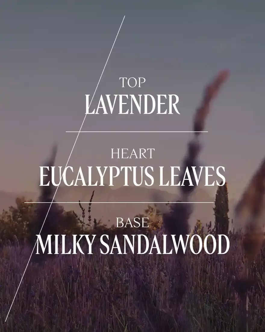 view 4/6 of Lavender Eau de Toilette, , AURECT