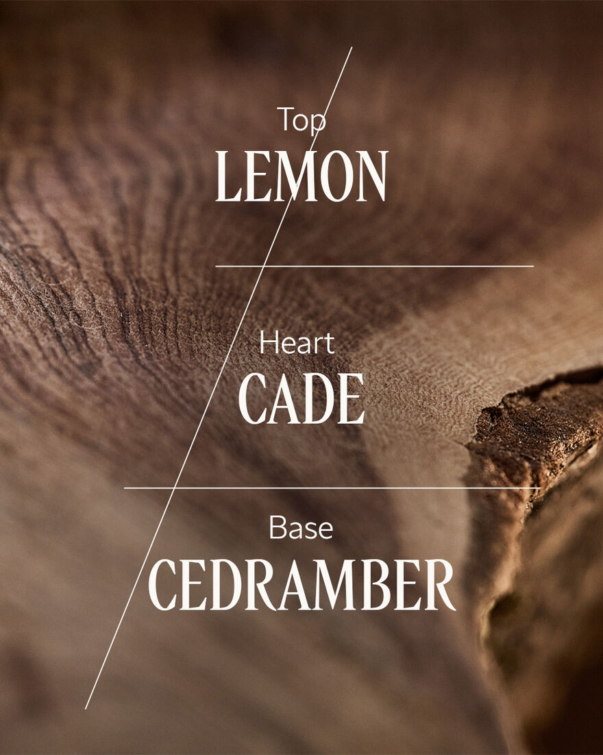 Ambre Cade Home Diffuser Set, AURECT (2) | L&rsquo;OCCITANE Australia